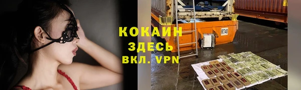 прущие крисы Абаза