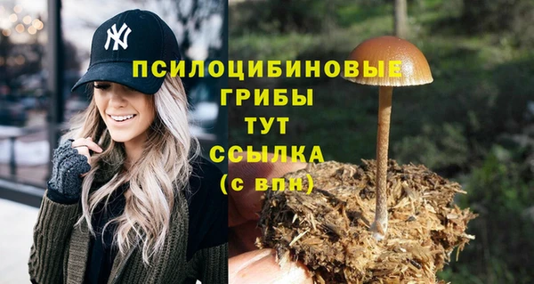 спиды Абинск