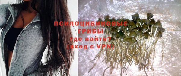 спиды Абинск