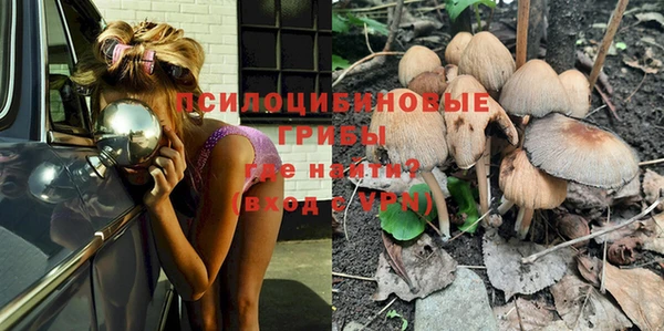ПСИЛОЦИБИНОВЫЕ ГРИБЫ Абдулино