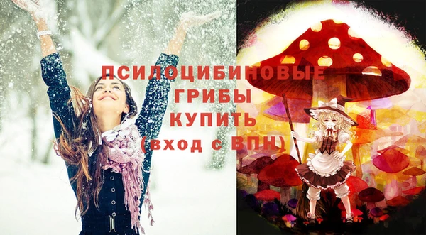 ПСИЛОЦИБИНОВЫЕ ГРИБЫ Абдулино